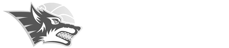 Rostock Seawolves